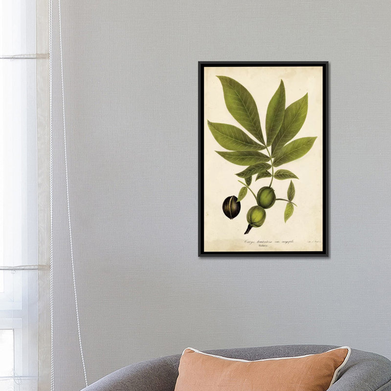 « hickory tree feuillage », reproduction d’impression sur toile, H 26 po x l 18 po x P 1,5 po, Toile avec cadre noir