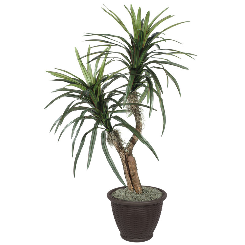 Artificial Marginata Tree, Brown