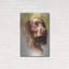 «Am Water Spaniel» par Barbara Keith-1584492123