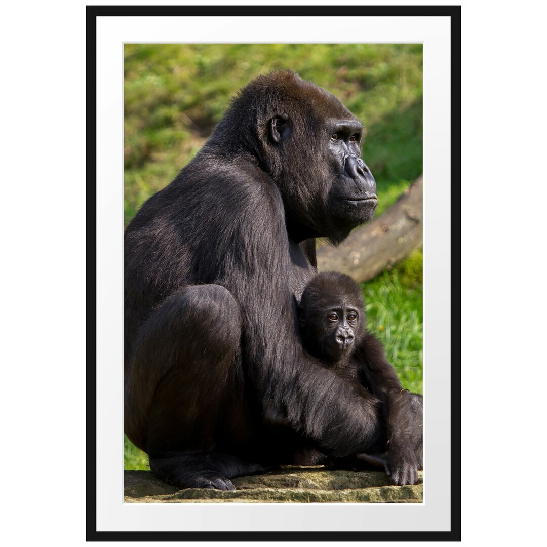 Gerahmtes Poster Liebevolle Gorillafamilie