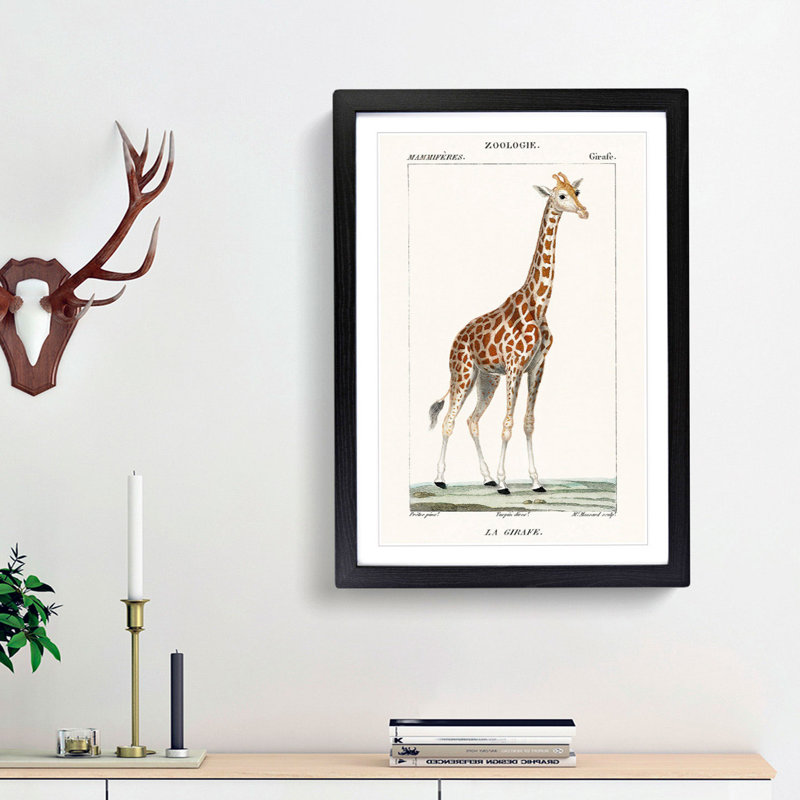 Giraffe by P.J.F. Turpin - Picture Frame Painting Print, 48cm H x 36cm W x 2cm D, Black Framed