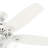 Builder 52" 5-Blade Energy Star® Standard Ceiling Fan With Lights And Pull Chain-102508658