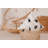 Halloween Web Accent Pillow with Insert-103514927-103514924