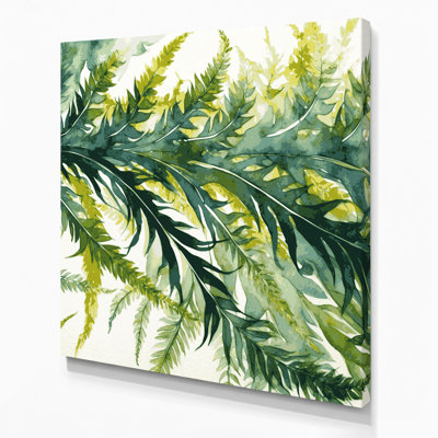 Art mural sur toile Botanical Pteris