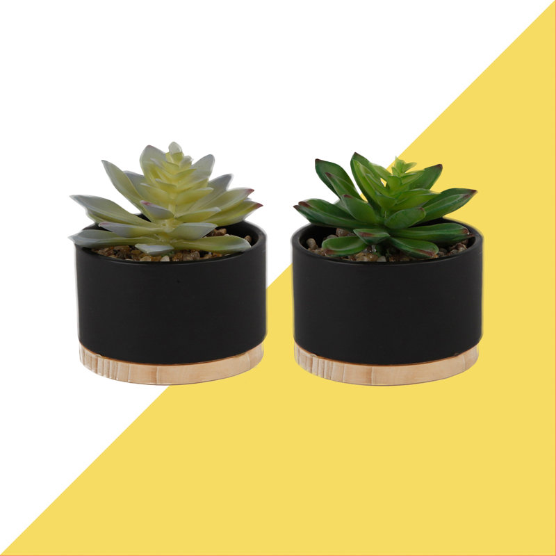 Agave artificielle 2 pièces en pot, Noir