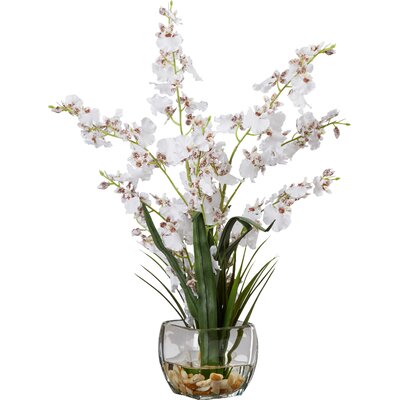 Greyleigh™ Fabric Orchid Arrangement in Vase & Reviews | Wayfair