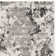 Strasser Performance Abstract Rug