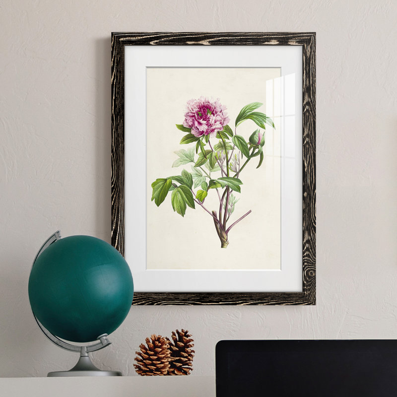 «Pretty Botanicals V», cadre photo, H 44 po x l 31 po x P 1 po, Cadre noir