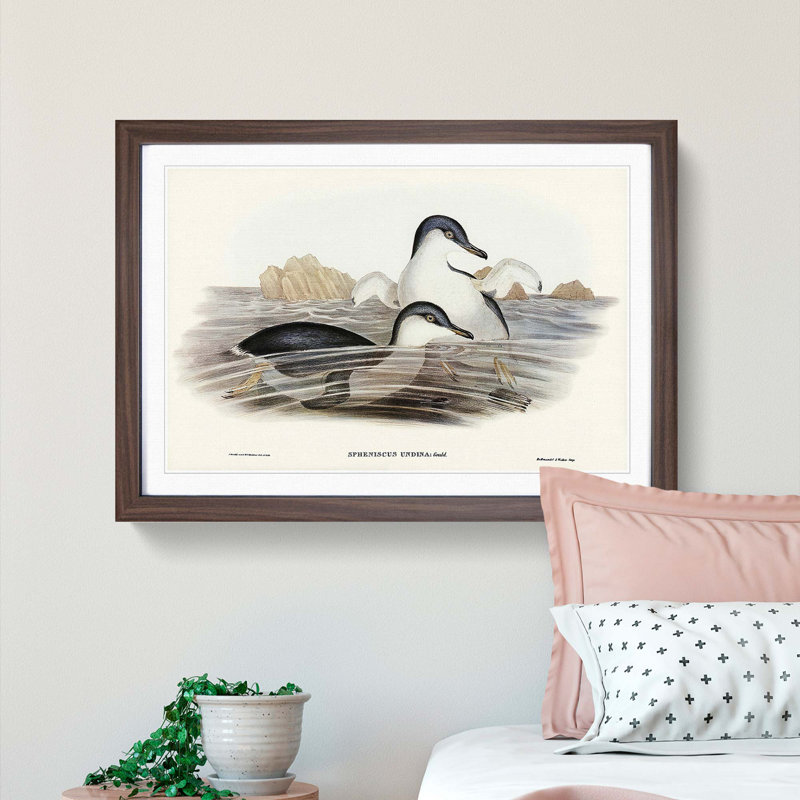 Little Blue Penguins by Elizabeth Gould - Picture Frame Painting Print, Walnut Framed, 27cm H x 36cm W x 2cm D