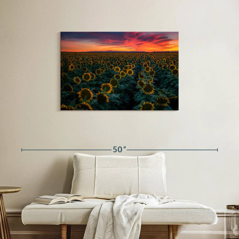 Alvord Sunflower Field Rows