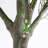 12ft. Giant Artificial Olive Tree