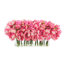 Peonies Arranged in a Glass Vase