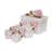 Plastic Laundry Set