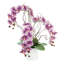 Modern Orchid Arrangement in Round Fiberstone Pot-1084581255