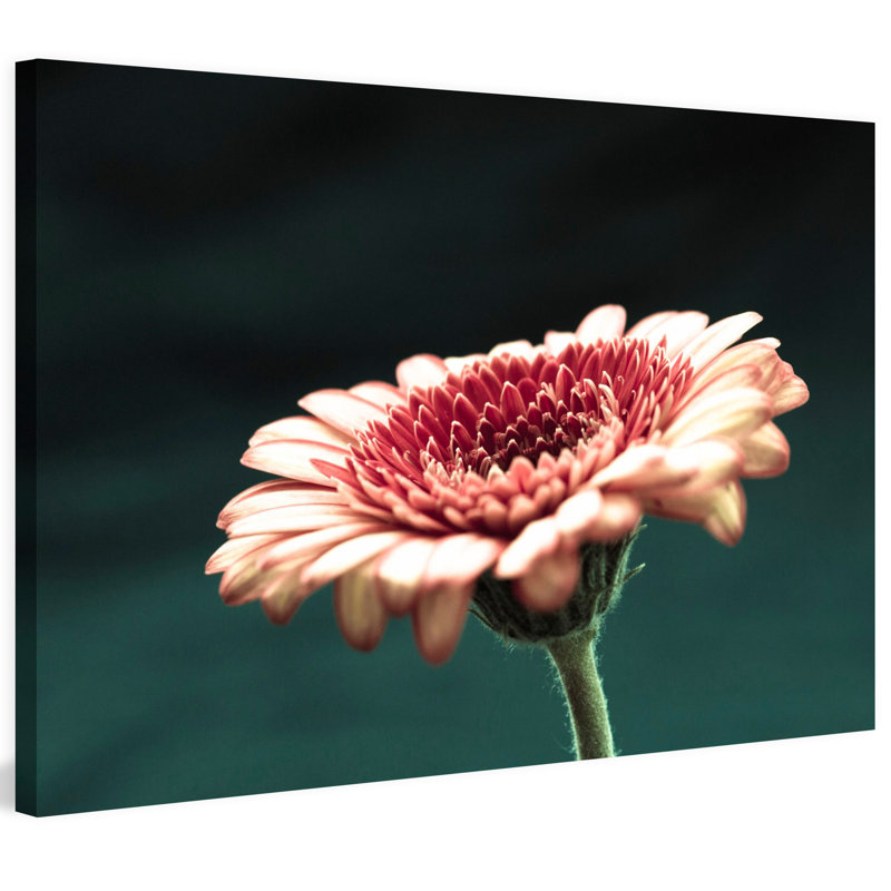Deep Green by Morgan J Hartley - Wrapped Canvas Print, 30cm H x 45cm W x 3.81cm D