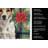 Tricolor Russell Terrier Christmas PoinsettIas Kitchen Towel-2080583828