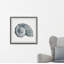 Luxur «Sturdy Shell» - Reproduction de cadre photo sur papier-276966148-283168264