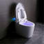 Tankless Smart Toilet With Bidet Built In, One-Piece, Auto Flush, Auto Open/Close,Heated Seat, Bubble Wash,Warm Water And Dry, Adjustable Temp,Remote Control Side Know