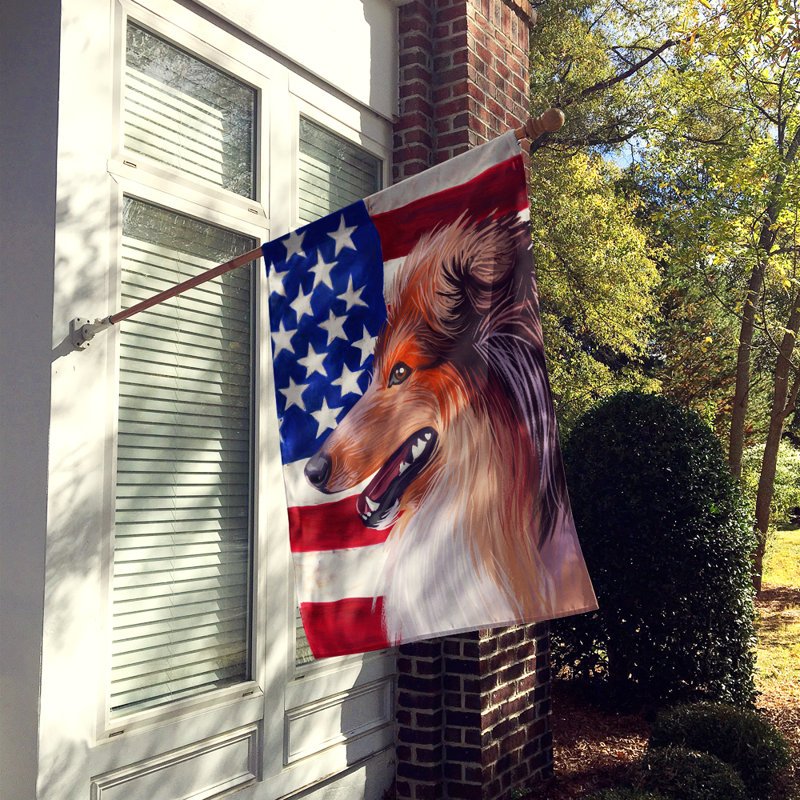 Polyester à 2 côtés 28 x 40 po drapeau maison, Colley écossais