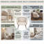 Mid-Century Modern Upholstered Tub Chair-1903567501