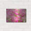 «Pinks» par Dennis Frates-1842811988