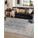 Hillen Oriental Indoor Rug