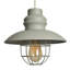 Penglai 26.5cm H Metal Novelty Pendant Shade ( Spider )-28711939-28711940