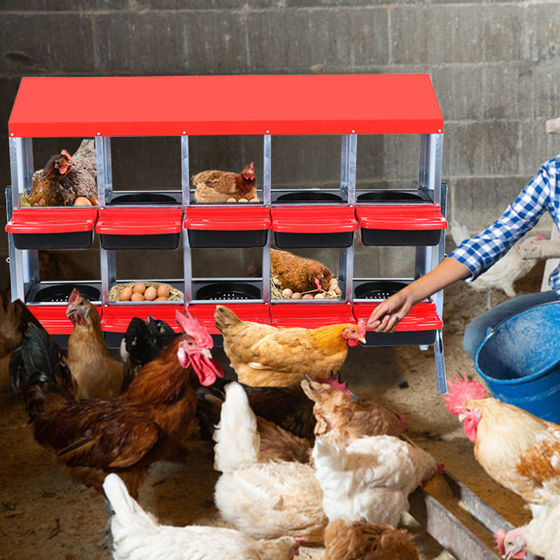 Boîte à nid de poule, boîte à nid de poule avec couvercle pour protéger les œufs