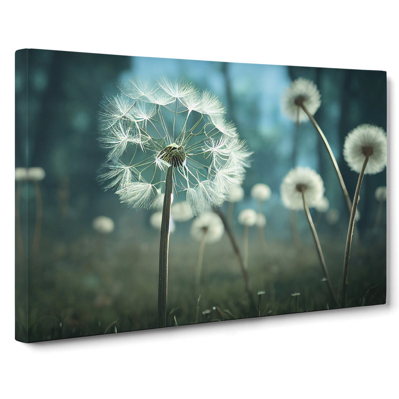 Alluring Dandelion Flowers - Wrapped Canvas Print, 50cm H x 76cm W x 3cm D