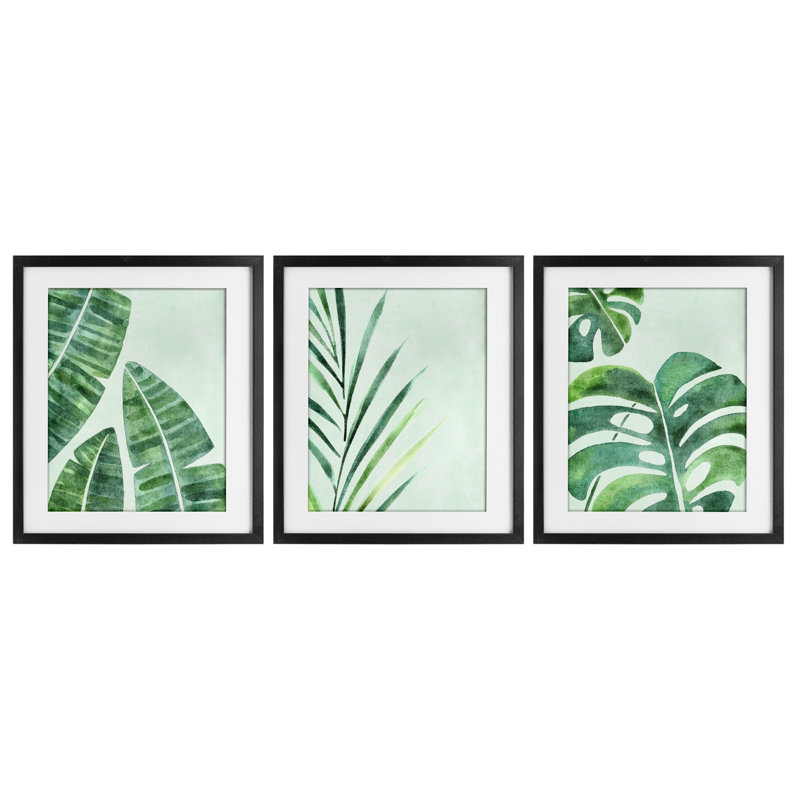 «Divers Plant Leaves Tropics», ensemble de 3 reproductions encadrées sous verre, par Camila Juncos, H 16 po x l 39 po