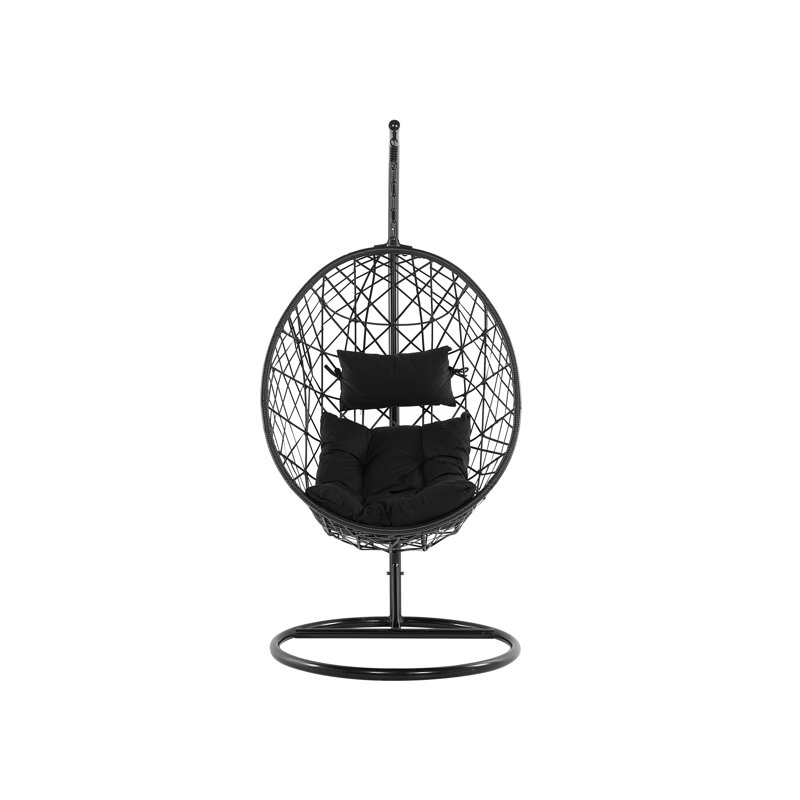 Rex Rattan Swing Chair with Stand