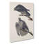 Labrador Falcons - Wrapped Canvas Print-55365496