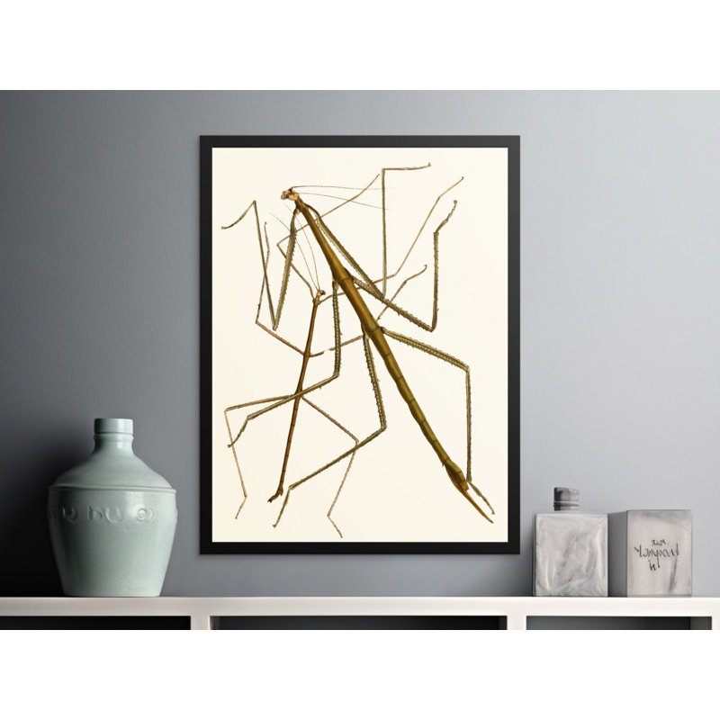 Print, 11x14
