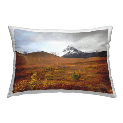 Outdoor Throw Pillow