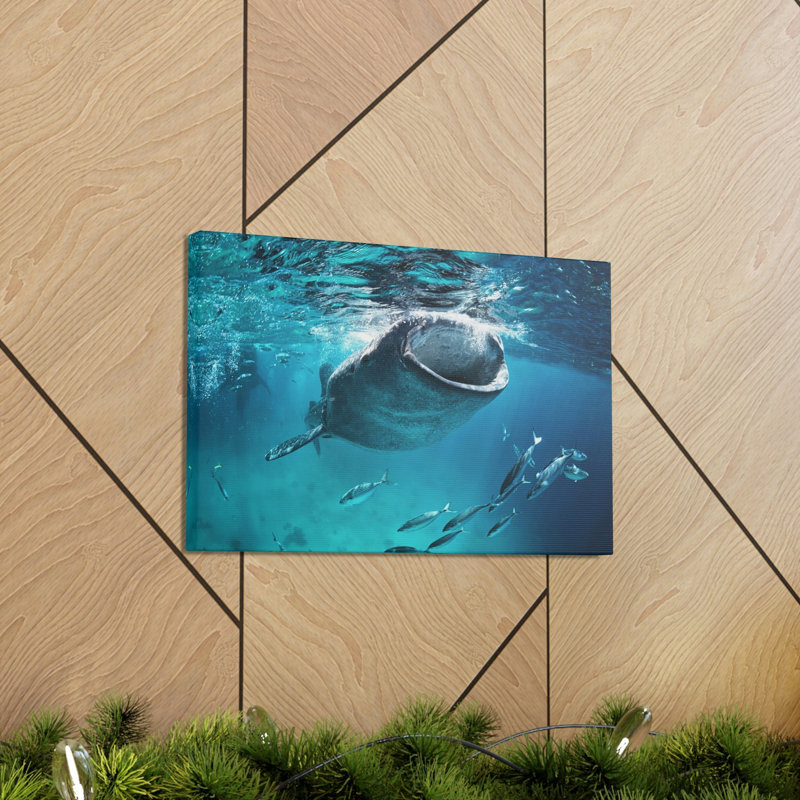 Drôle de requin baleine amusant, H 12 po x l 18 po