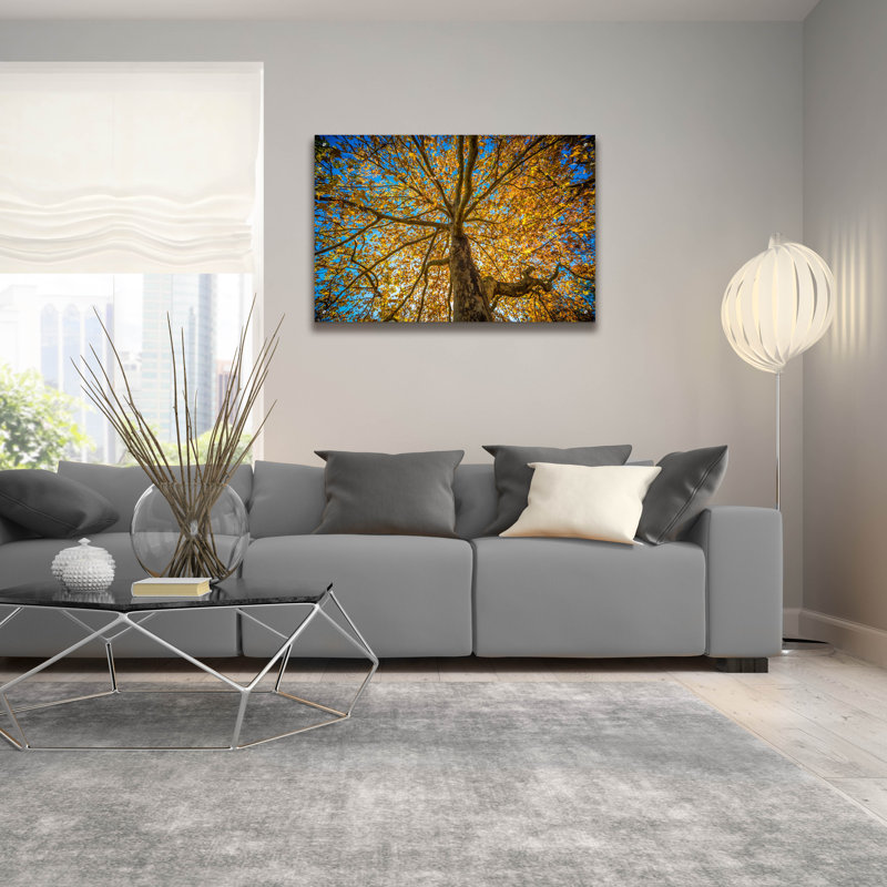Latitude Run® 'Fall Tree' by Tim Oldford, Acrylic Glass Wall Art, 36"x24", 24" H x 36" W x 0.2" D