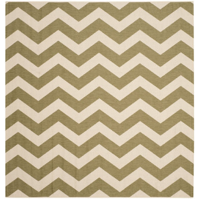 Tapis intérieur / extérieur vert / beige Arneshia