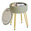 Ahilan Metal Accent Stool-2033349371