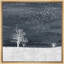 Birds Fly Over White Field & Trees, reproduction d'art sur toile-96984969-96984970