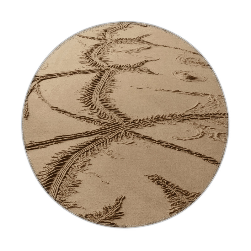 Tapis beige d'intérieur et d'extérieur Nature, Rond 5 pi