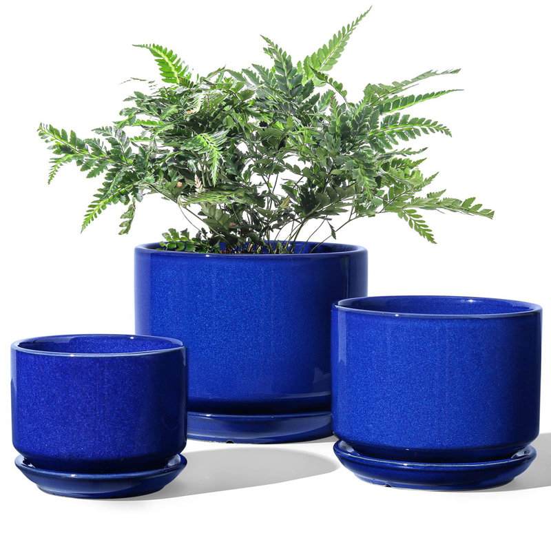 Ceramic Plant Pots with Drainage Hole and Sauce, Blue