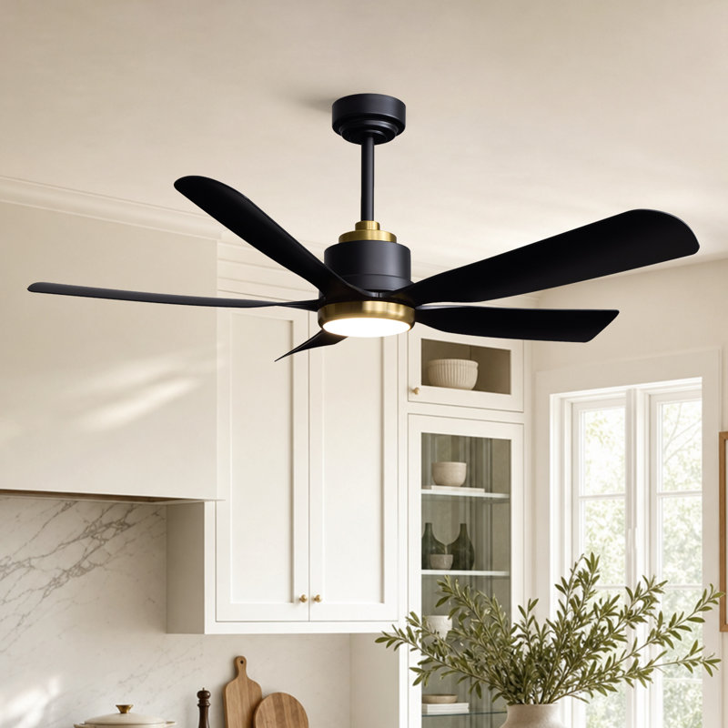 52" 5-Blades Ceiling Fan with Light Black/Gold