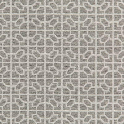 Raia Fabric