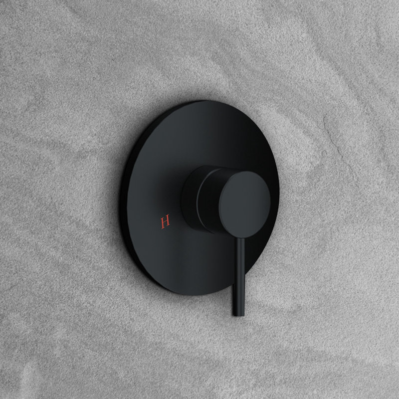 Système de douche de pluie mural rond 12 pouces avec commande à poignée simple Topcraft, Noir mat