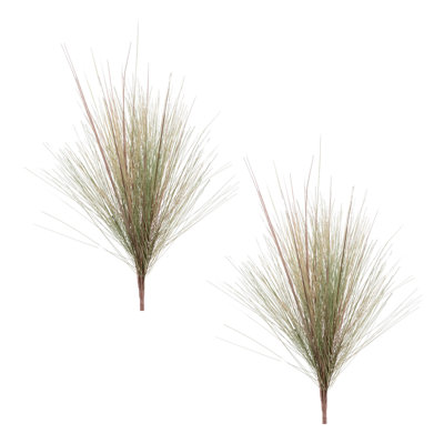 Grass Foliage Bush