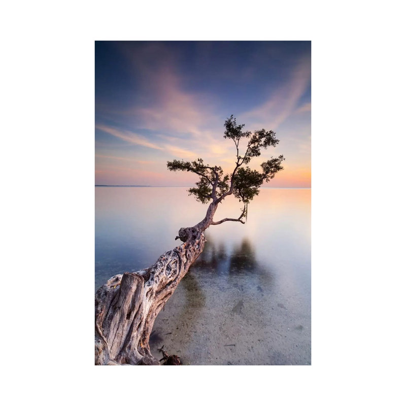 Water Tree X by Moises Levy - Wrapped Canvas Print, 20.32 cm H x 30.48 cm W
