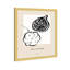 Dessin au trait noir et blanc-68916704-68916705