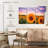 Harnek Sunflower Sunset-107990857