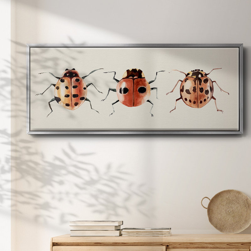 Coccinelle