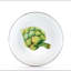 Set of 4 Fresh Produce Dinner Plates